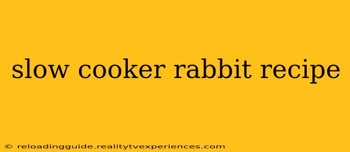 slow cooker rabbit recipe