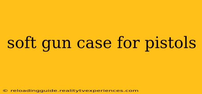 soft gun case for pistols