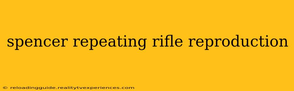 spencer repeating rifle reproduction