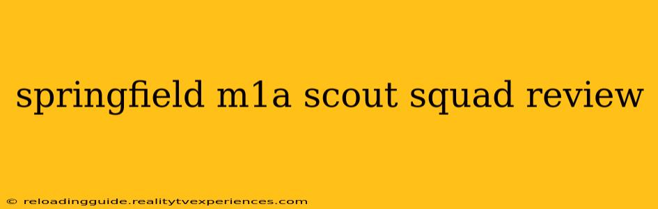 springfield m1a scout squad review