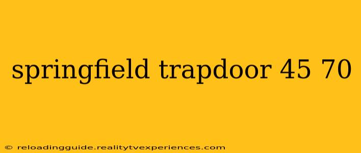 springfield trapdoor 45 70