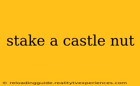 stake a castle nut