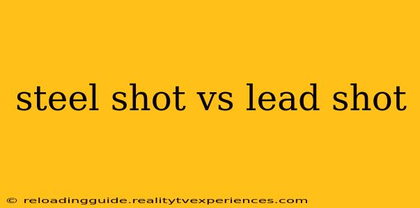 steel shot vs lead shot