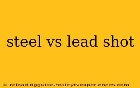 steel vs lead shot