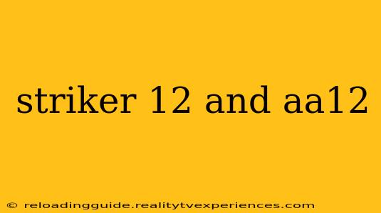 striker 12 and aa12