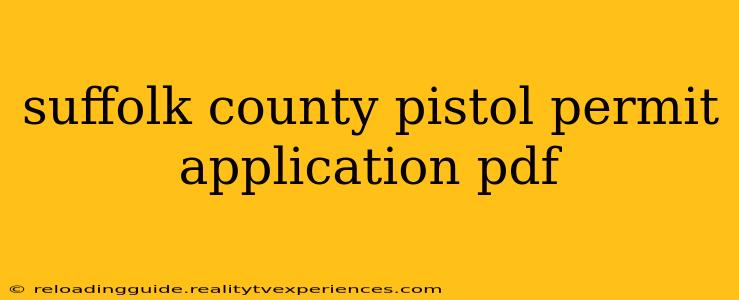 suffolk county pistol permit application pdf