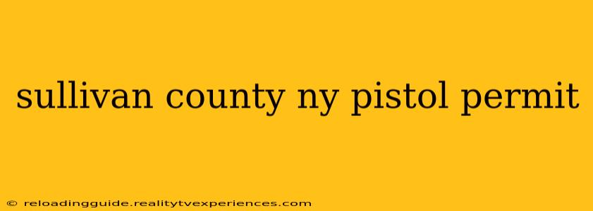 sullivan county ny pistol permit