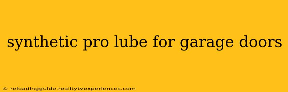 synthetic pro lube for garage doors