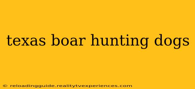 texas boar hunting dogs