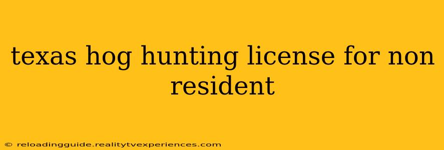 texas hog hunting license for non resident