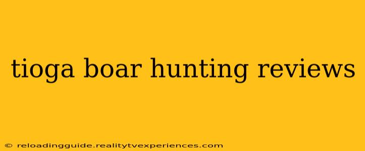 tioga boar hunting reviews