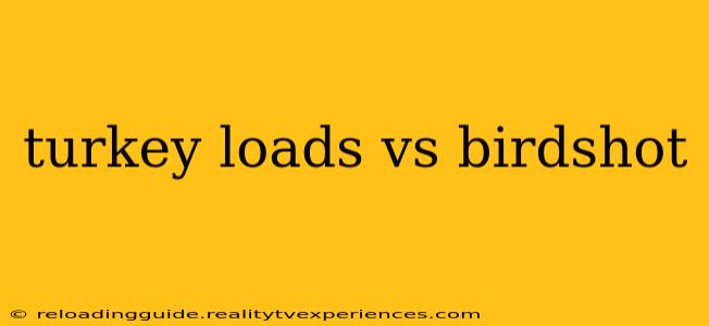 turkey loads vs birdshot