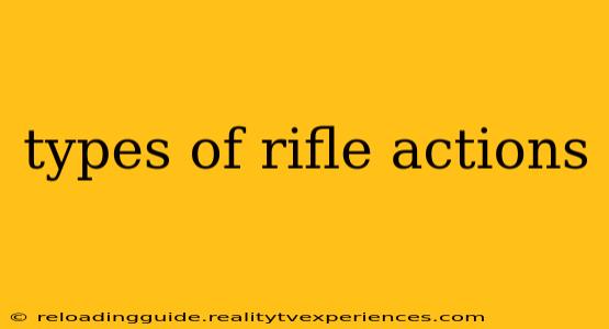 types of rifle actions