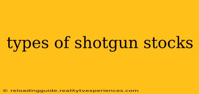 types of shotgun stocks