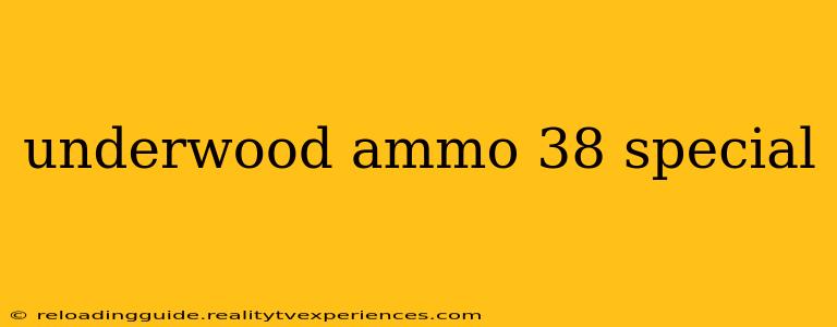 underwood ammo 38 special