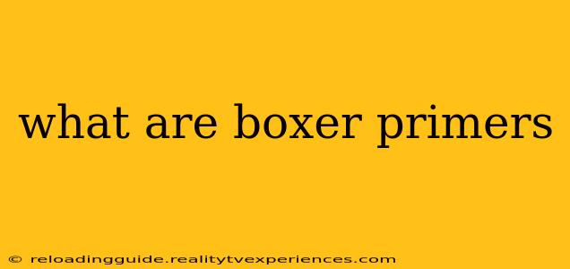 what are boxer primers