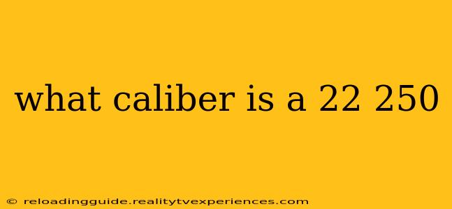 what caliber is a 22 250