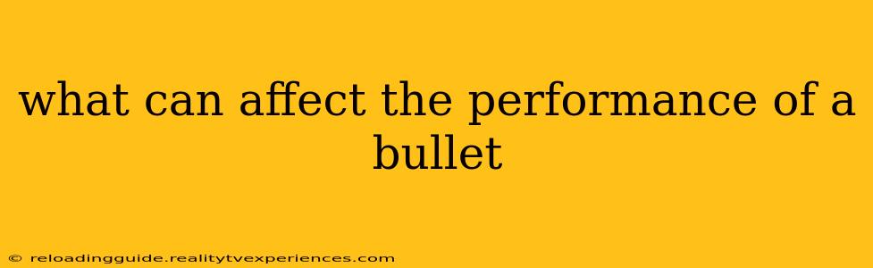 what can affect the performance of a bullet