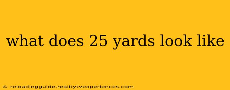 what does 25 yards look like