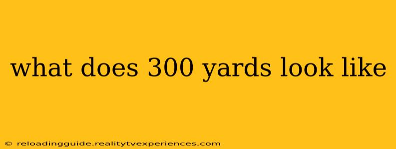 what does 300 yards look like