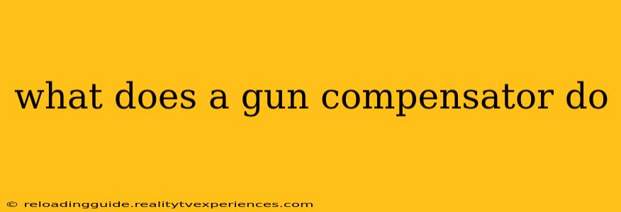 what does a gun compensator do