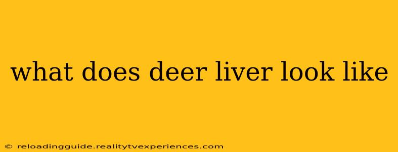 what does deer liver look like