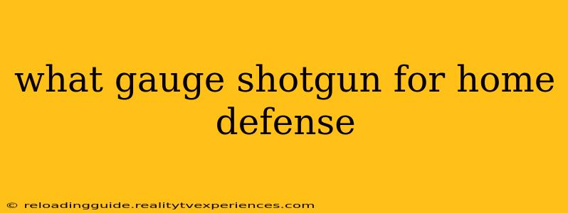 what gauge shotgun for home defense