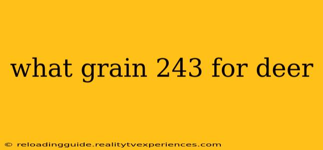 what grain 243 for deer