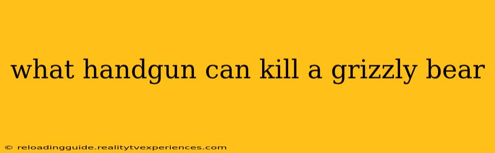 what handgun can kill a grizzly bear