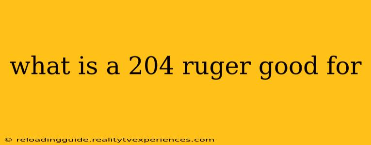 what is a 204 ruger good for