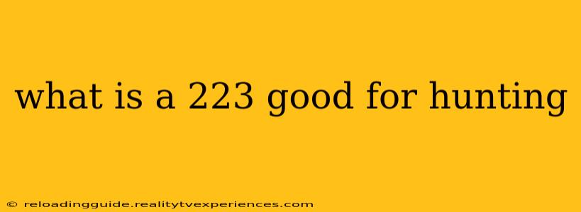 what is a 223 good for hunting