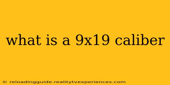 what is a 9x19 caliber