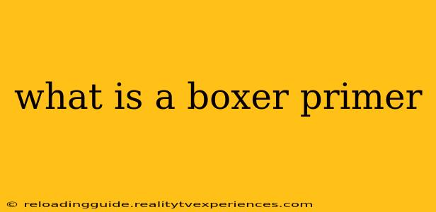 what is a boxer primer