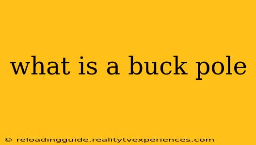 what is a buck pole