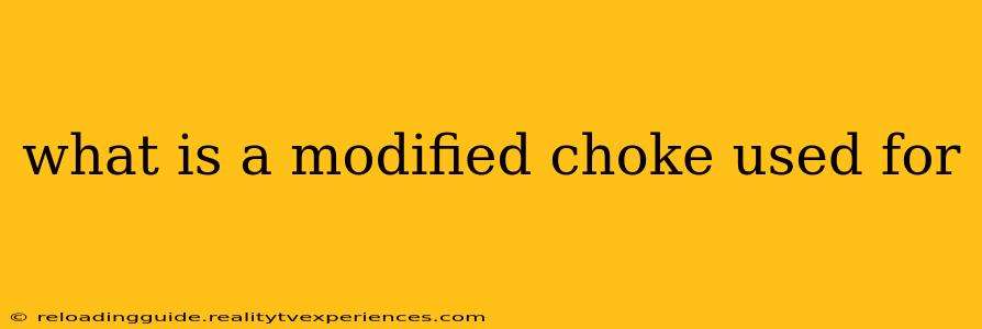 what is a modified choke used for