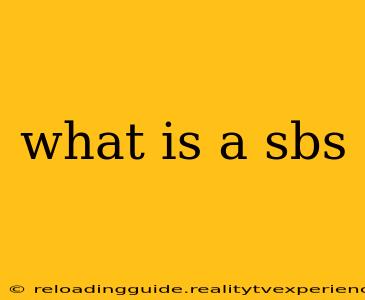 what is a sbs