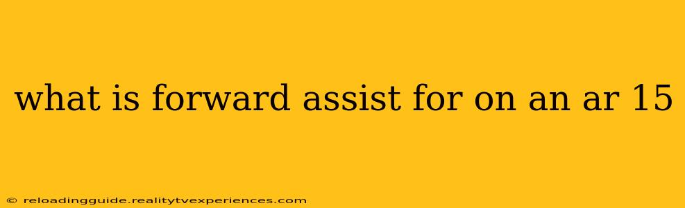 what is forward assist for on an ar 15