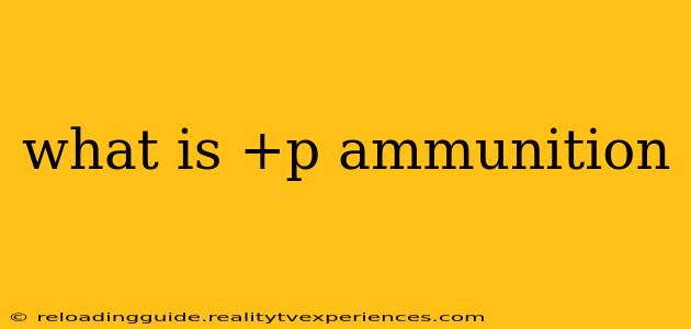 what is +p ammunition