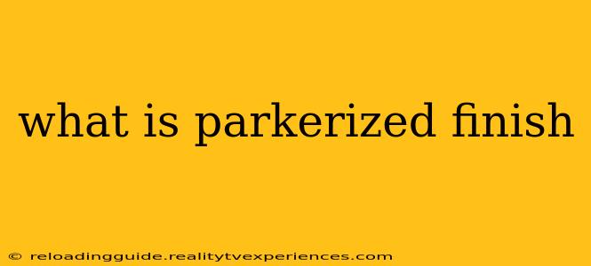 what is parkerized finish