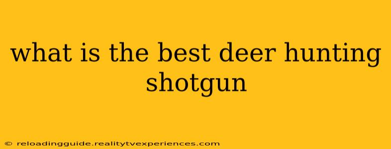 what is the best deer hunting shotgun