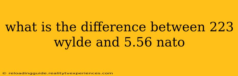 what is the difference between 223 wylde and 5.56 nato