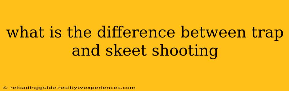 what is the difference between trap and skeet shooting