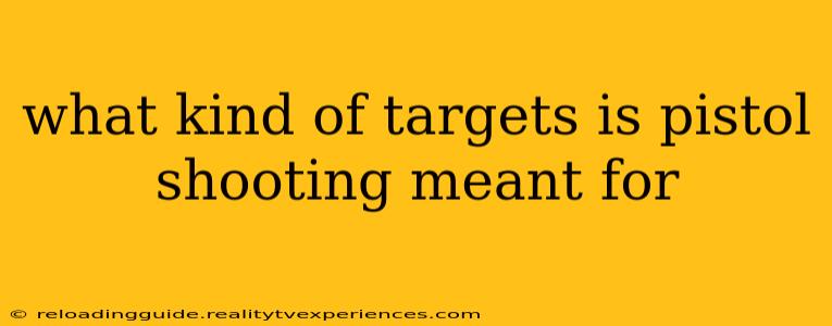 what kind of targets is pistol shooting meant for