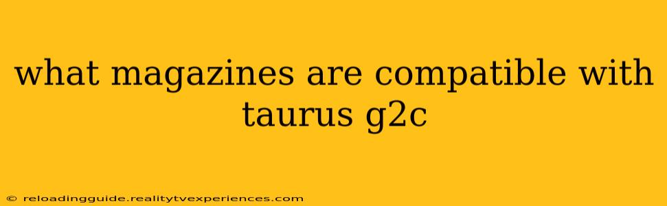 what magazines are compatible with taurus g2c