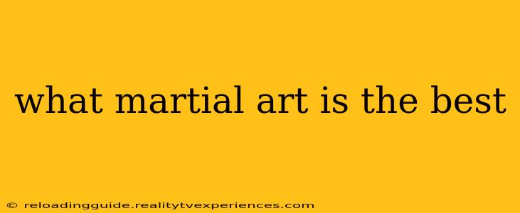 what martial art is the best