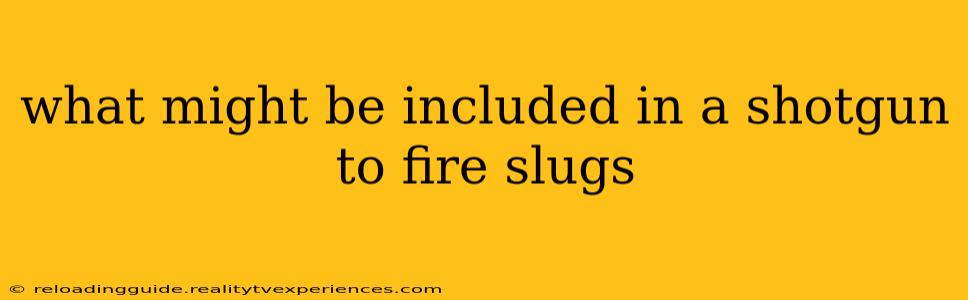 what might be included in a shotgun to fire slugs