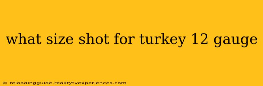 what size shot for turkey 12 gauge