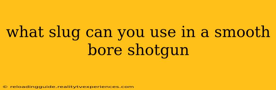 what slug can you use in a smooth bore shotgun