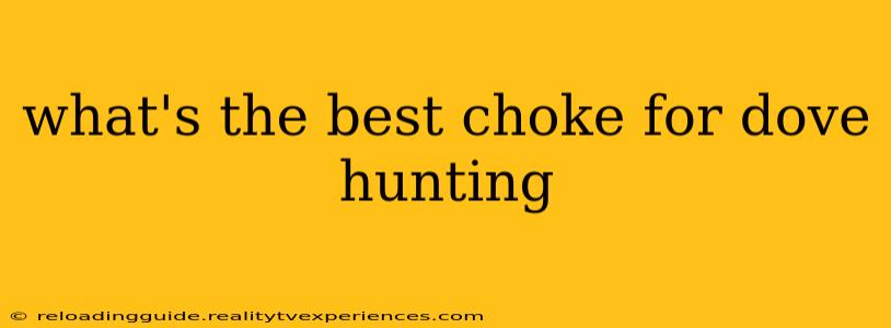 what's the best choke for dove hunting