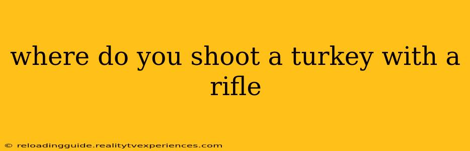 where do you shoot a turkey with a rifle